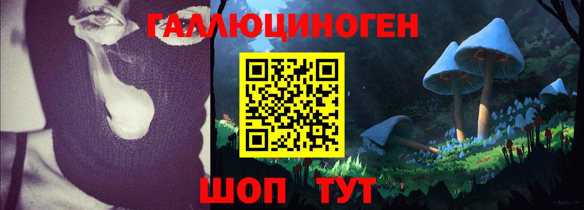 Псилоцибиновые грибы MAGIC MUSHROOMS  Псилоцибиновые грибы Magic Shrooms  Вход с VPN  Советск 